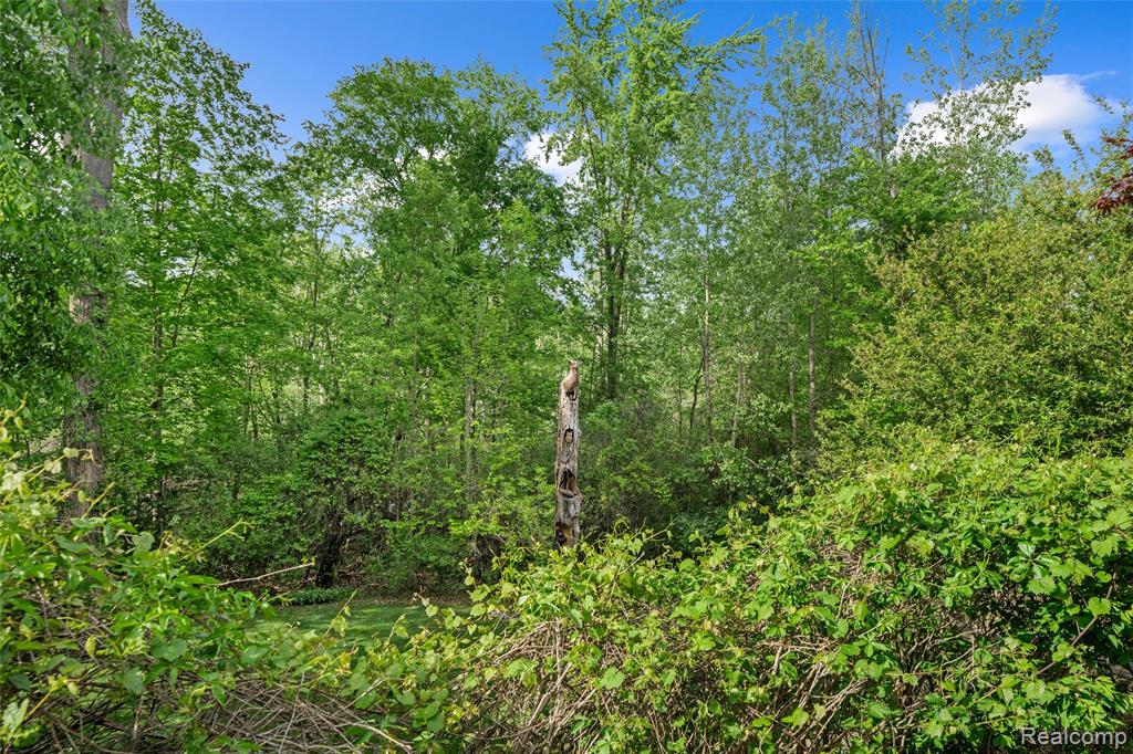 10099 Fernbrooke Drive, Brighton, MI 48116 — Photo 77