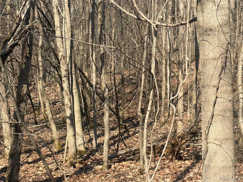 V/L Fulton, Mayville Vlg, MI 48744 — Photo 15