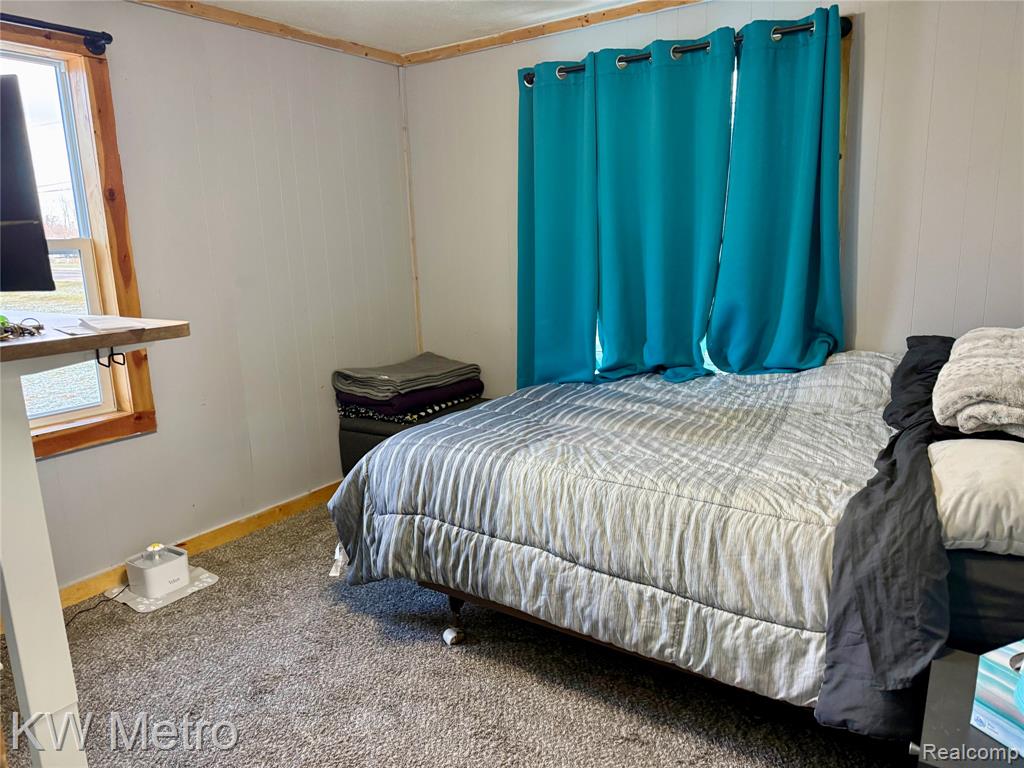 563 N Ovid Street, Elsie, MI 48831 — Photo 9