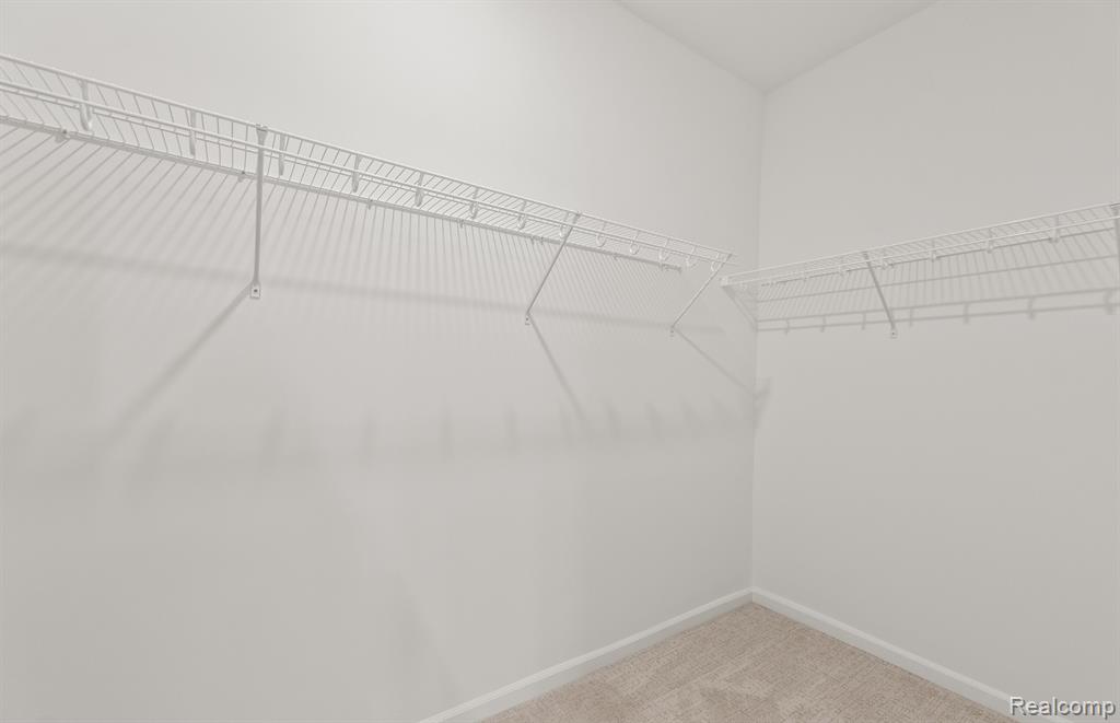 16104 Conifer Lane, Clinton Twp, MI 48038 — Photo 22