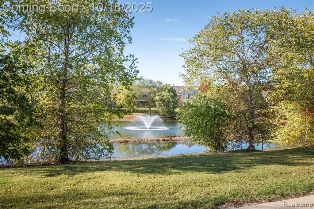16706 Dover Drive, Northville, MI 48168 — Photo 31