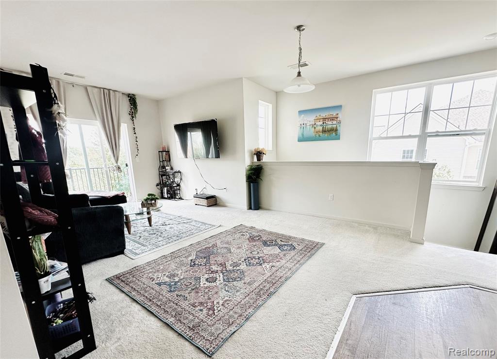 10028 RIDGE RUN Street, 10, Howell, MI 48855 — Photo 4