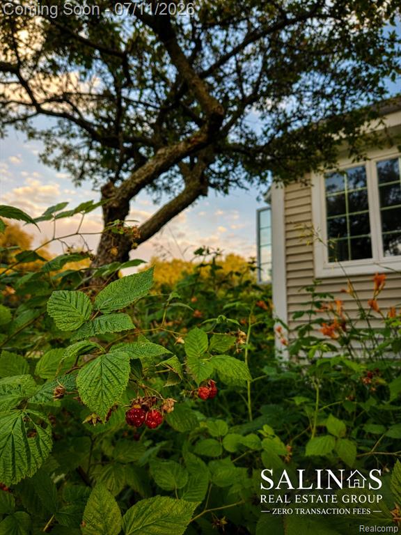 2120 Montague Road, Davison, MI 48423 — Photo 19