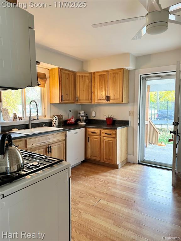 6865 Saint Marys Street, Brown, MI 48416 — Photo 11