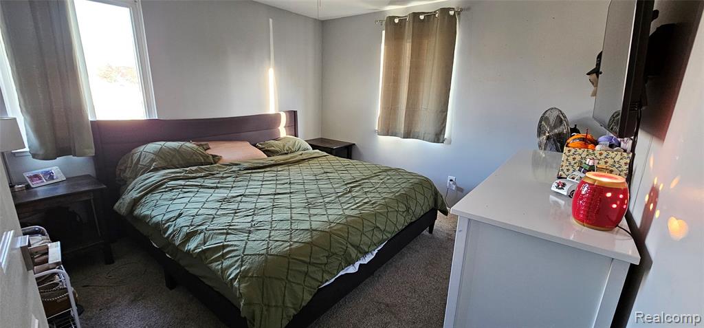 22308 Larch Street, Woodhaven, MI 48183 — Photo 15