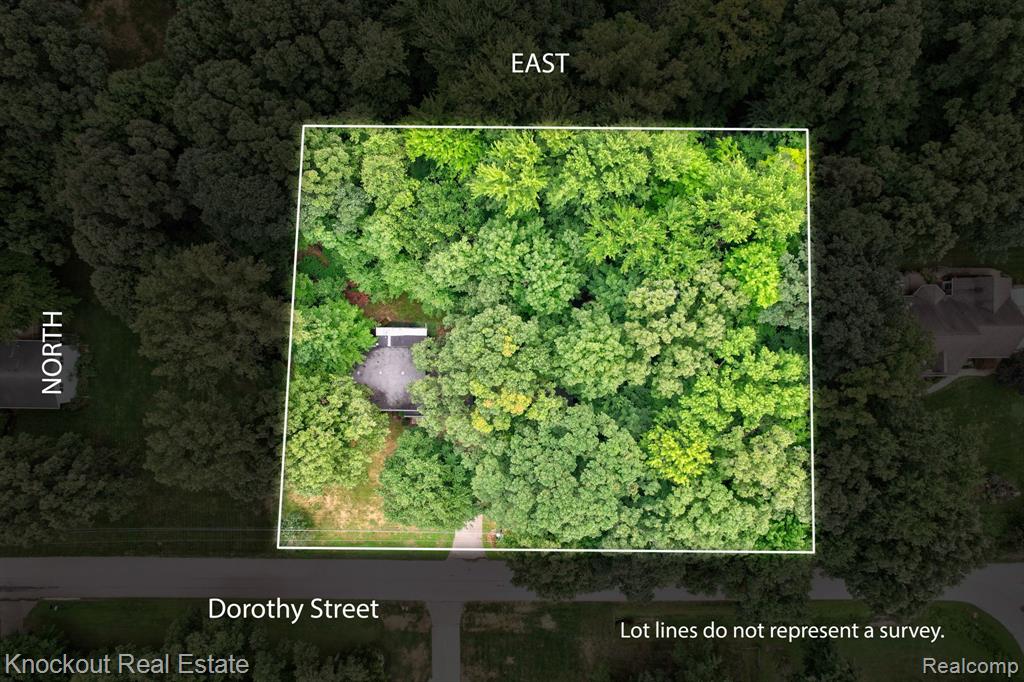 4861 Dorothy Street, Vassar, MI 48768 — Photo 44