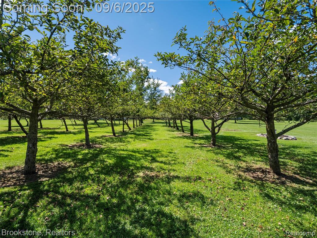 76438 Burman Road, Richmond, MI 48062 — Photo 11