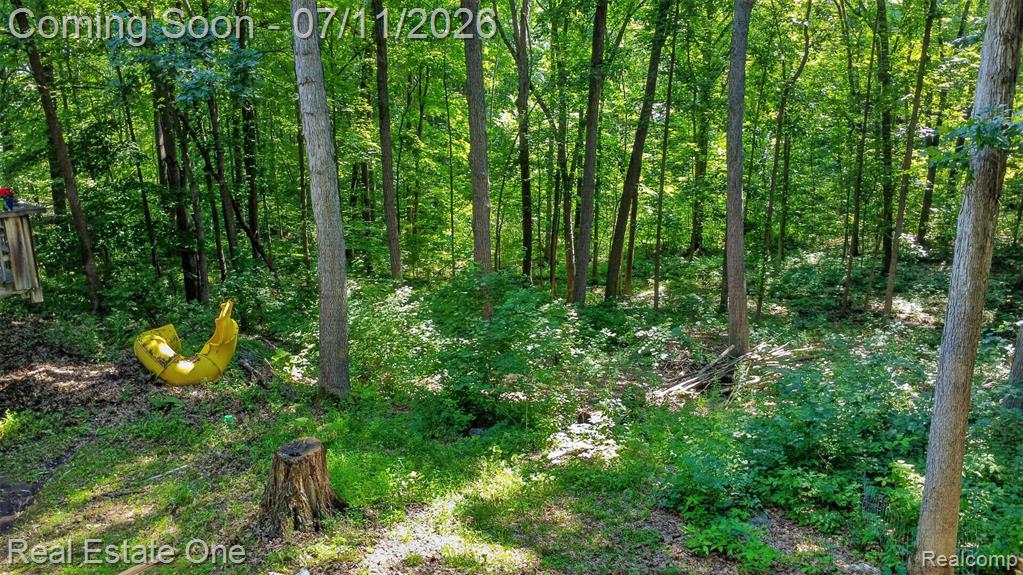 310 S Van Road, Holly, MI 48442 — Photo 50