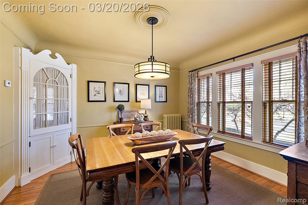 16811 Plainview Avenue, Detroit, MI 48219 — Photo 9