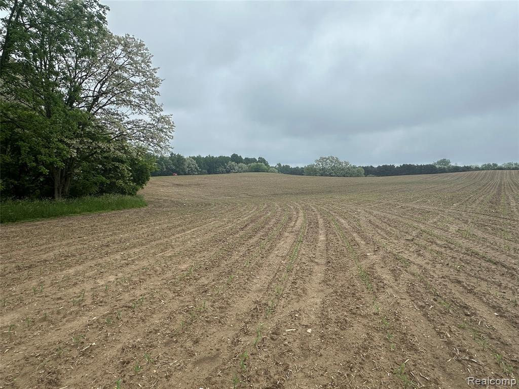 VL Mertz Road, Mayville Vlg, MI 48744 — Photo 28