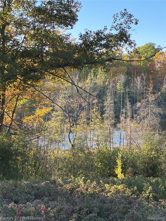 3608 S State, Glennie, MI 48737 — Photo 14