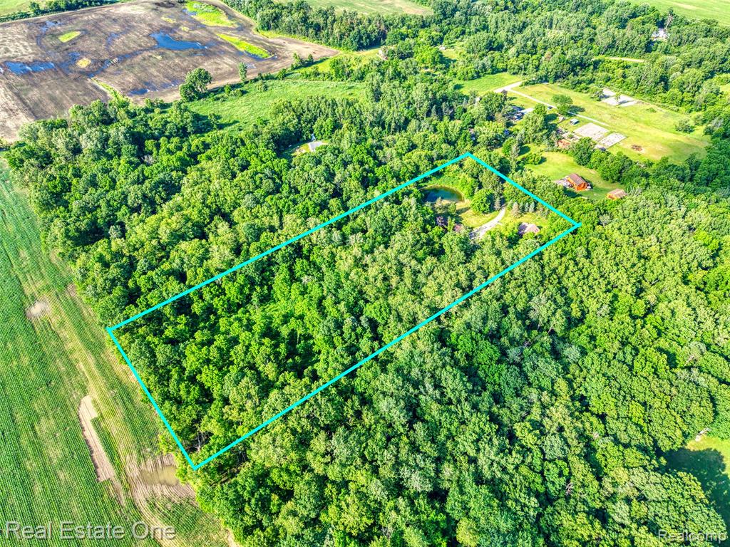 15060 Van Syckle Court, Gregory, MI 48137 — Photo 35