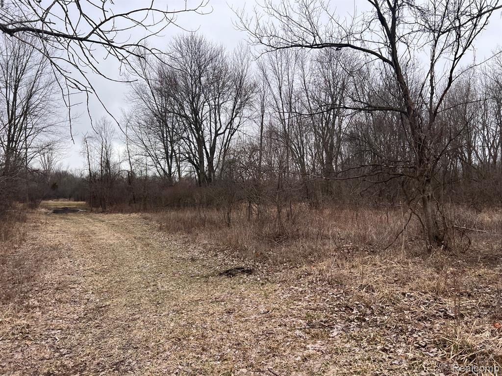 VL Washington Street, Perry, MI 48872 — Photo 13