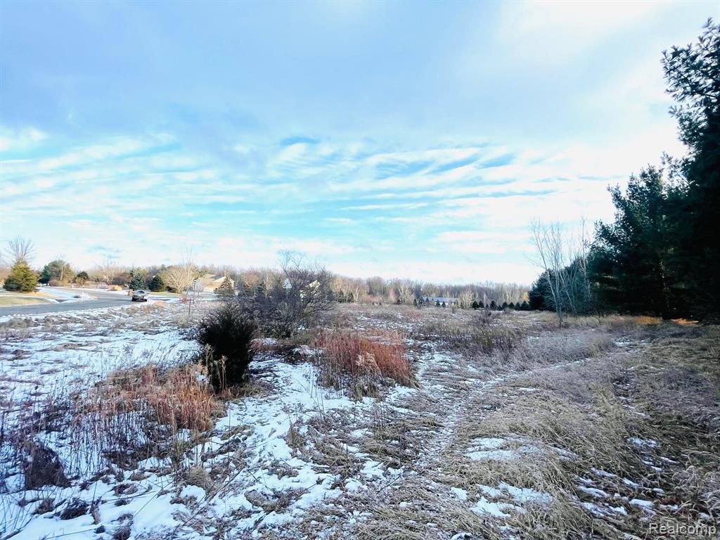 Lot 6 Sleeping Meadow, Mason, MI 48854 — Photo 4