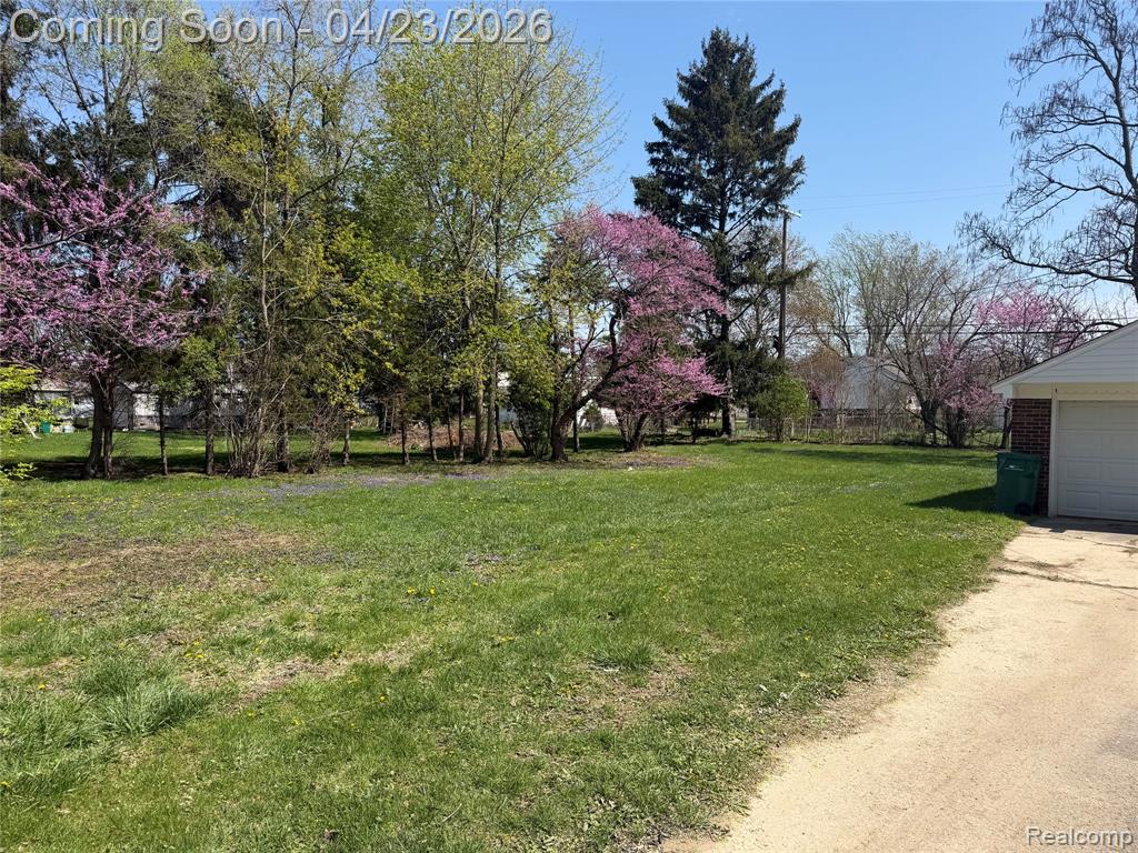 19527 Somers Street, New Boston, MI 48164 — Photo 3