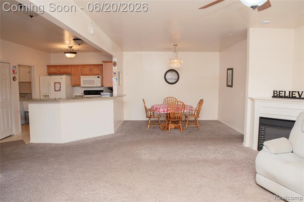 519 Cedar Street, Wyandotte, MI 48192 — Photo 8