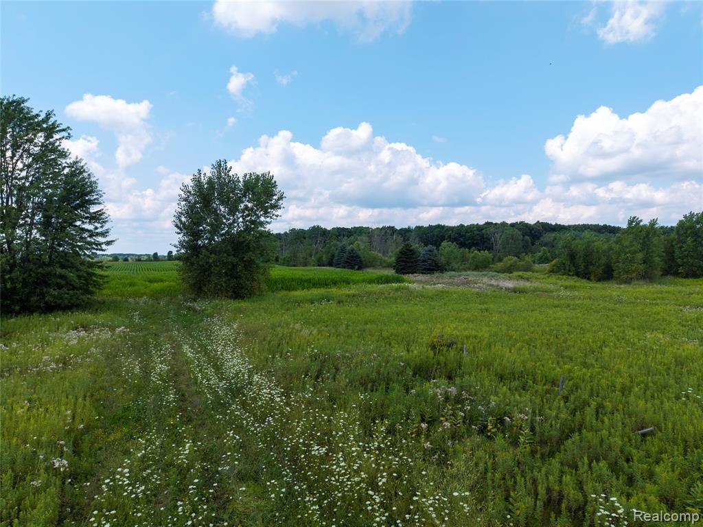 VL Sharp Road, Swartz Creek, MI 48473 — Photo 16