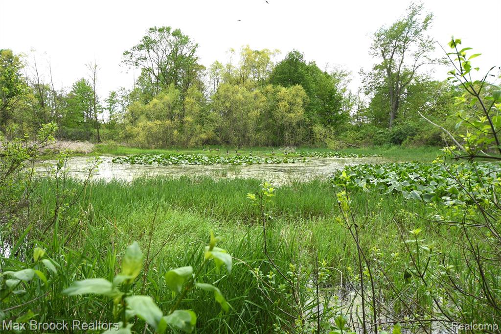 58282 SAVAGE Road, Vandalia, MI 49095 — Photo 51