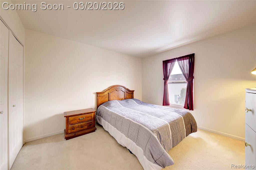 8627 Cass River Drive, Fowlerville, MI 48836 — Photo 18