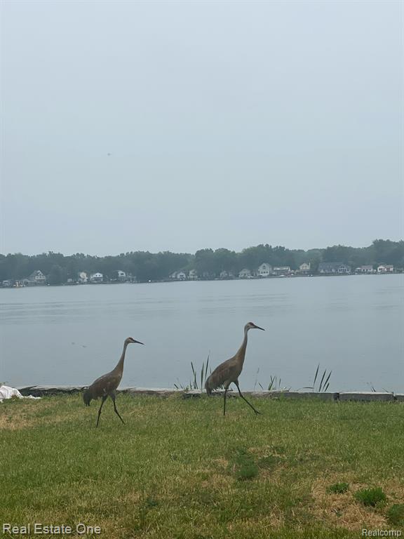 2300 JACKSON Boulevard, Highland, MI 48356 — Photo 17