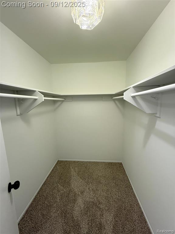 4732 Ardmore Drive, Sterling Heights, MI 48310 — Photo 19