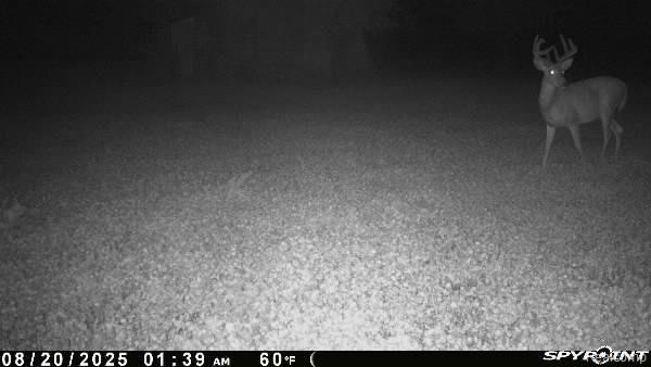 V/L BLAKE Road, Jackson, MI 49201 — Photo 2