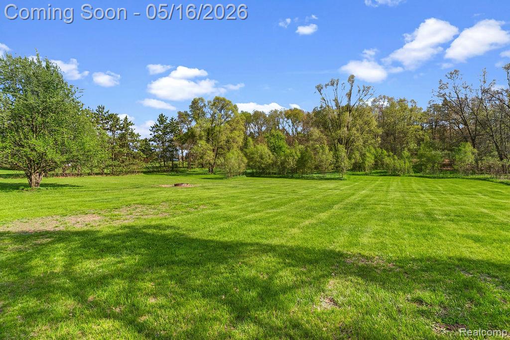 8742 Hyne Road, Brighton, MI 48114 — Photo 51