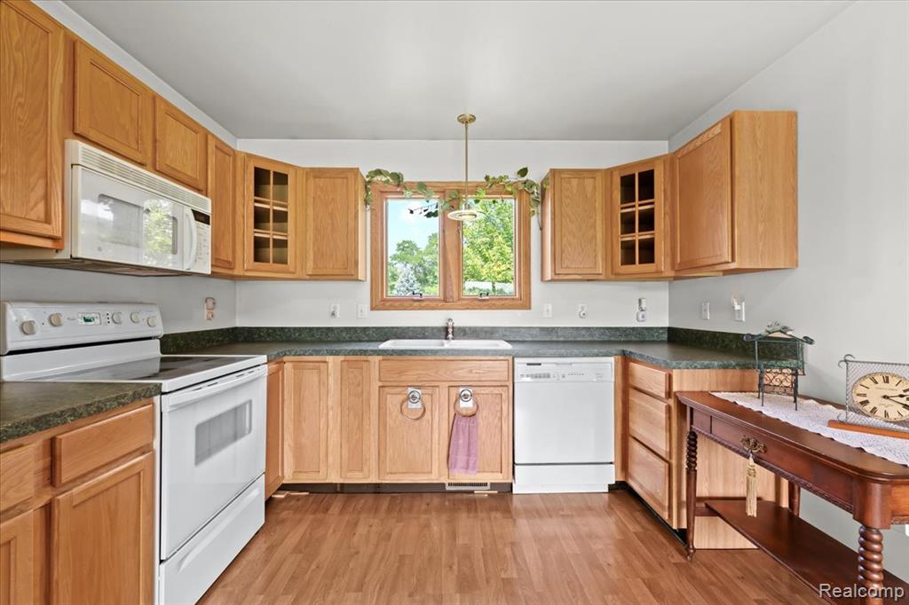 7289 Lovejoy Road, Byron, MI 48418 — Photo 8