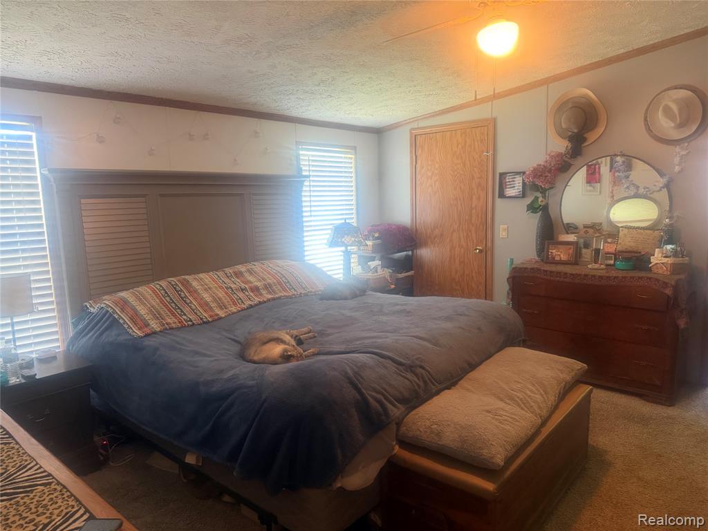 5716 Falkenbury Road, North Branch, MI 48461 — Photo 33