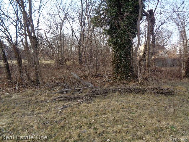 4293 16TH Street, Detroit, MI 48208 — Photo 4