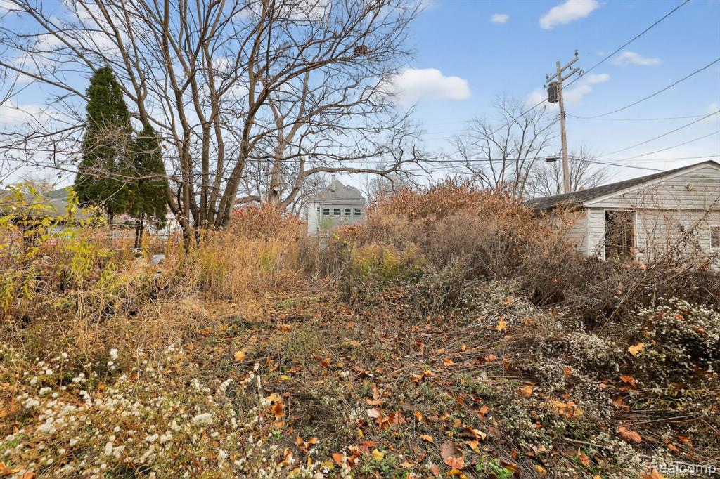 6536 Firwood Street, Detroit, MI 48210 — Photo 30