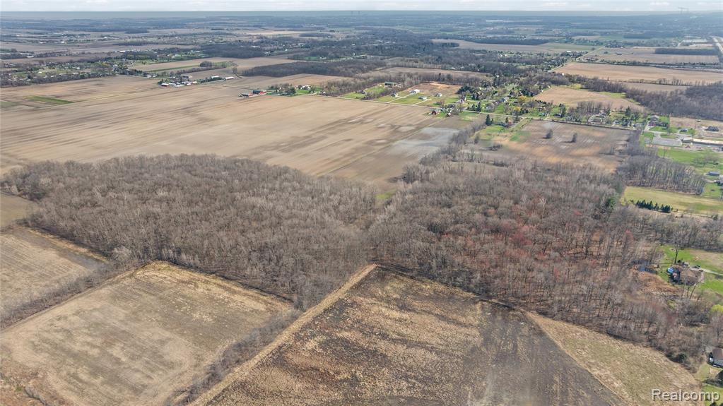 Parcel 4 Carleton Rockwood, Carleton, MI 48117 — Photo 21
