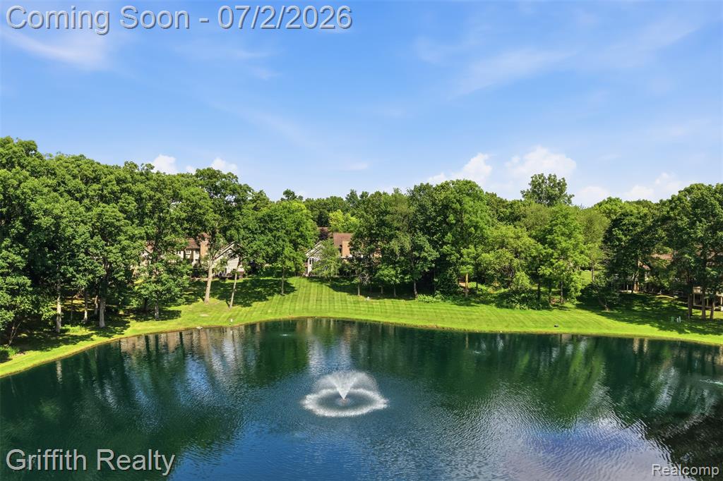 4603 Golf View Drive, Brighton, MI 48116 — Photo 4