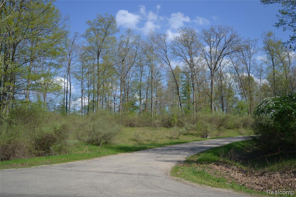 LOT 8 Oak Ridge Court, Mills, MI 48756