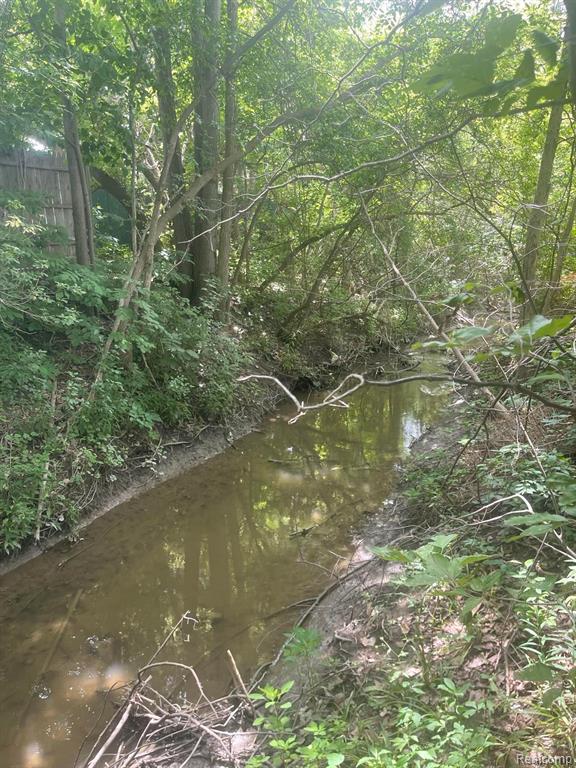 12189 ULMER Road, Birch Run, MI 48415 — Photo 19
