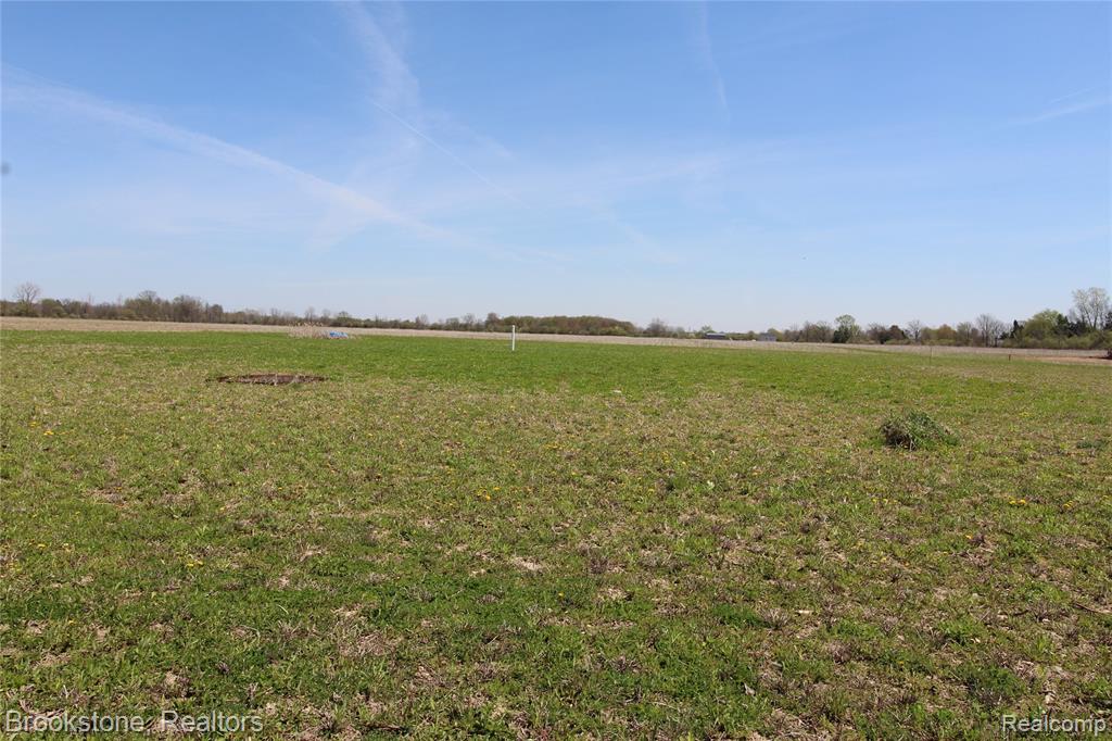 Vacant Lot D Stoddard Road, Columbus, MI — front exterior