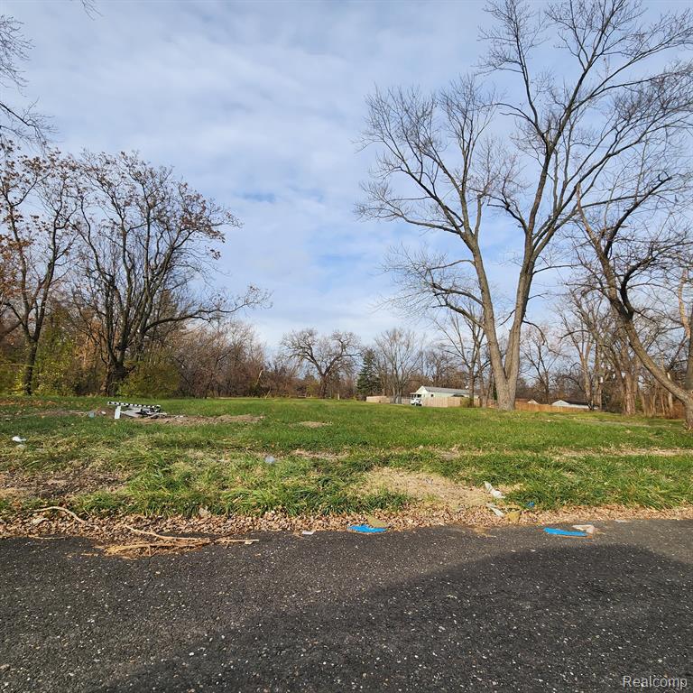15401 HAZELTON Street, Detroit, MI 48223 — Photo 3