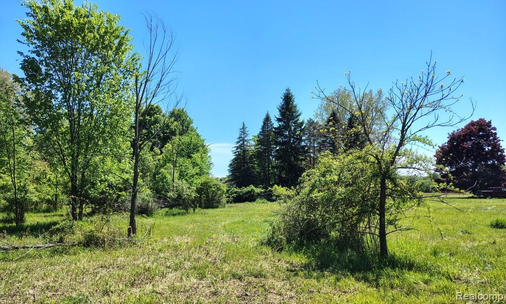 C Hemingway Lake Road, Otter Lake, MI 48464 — Photo 3