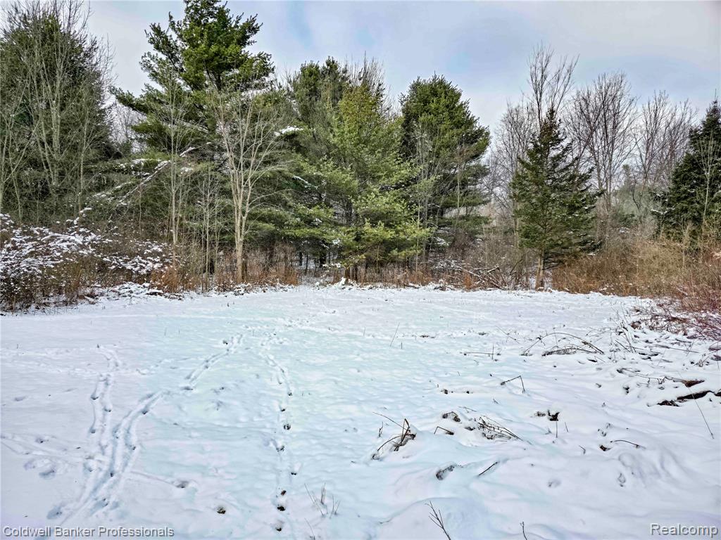 VL Columbiaville Road, Columbiaville, MI 48421 — Photo 22