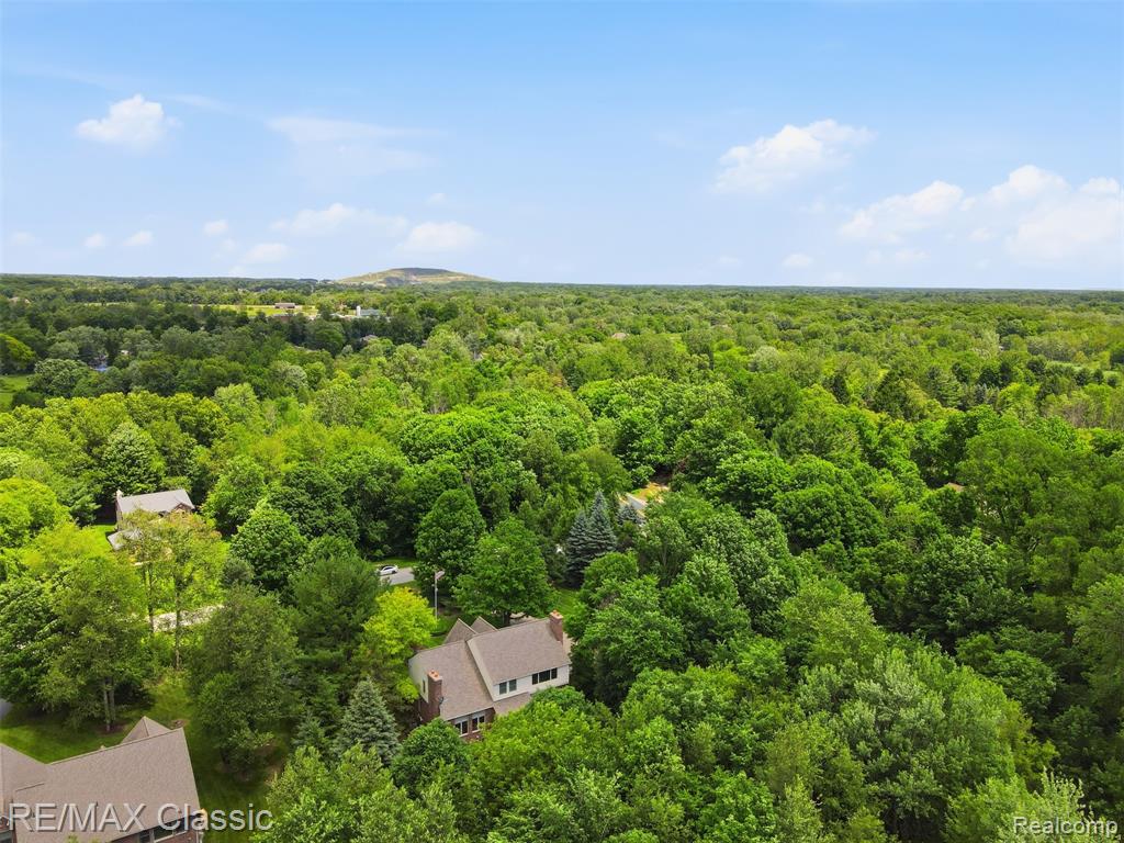 8033 Pine Ridge Court, Northville, MI 48168 — Photo 43