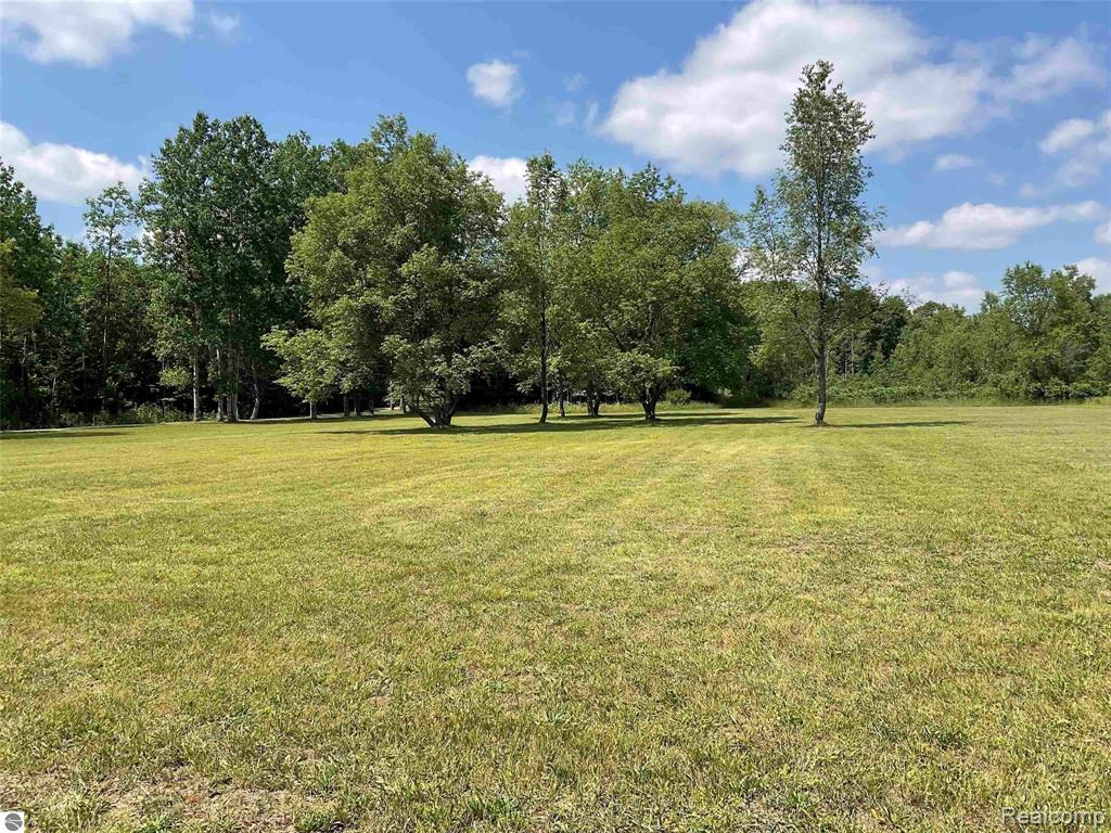 10694 Freeman Road, Mesick, MI 49668 — Photo 39