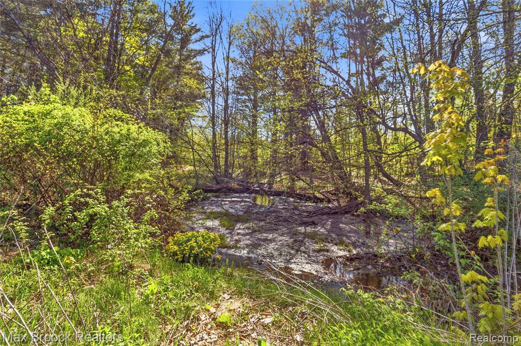 3295 Burning Tree Lane, Attica, MI 48412 — Photo 42