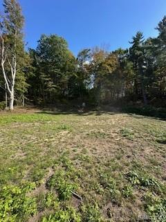 4720 Brunk Drive, Otter Lake, MI 48464 — Photo 17