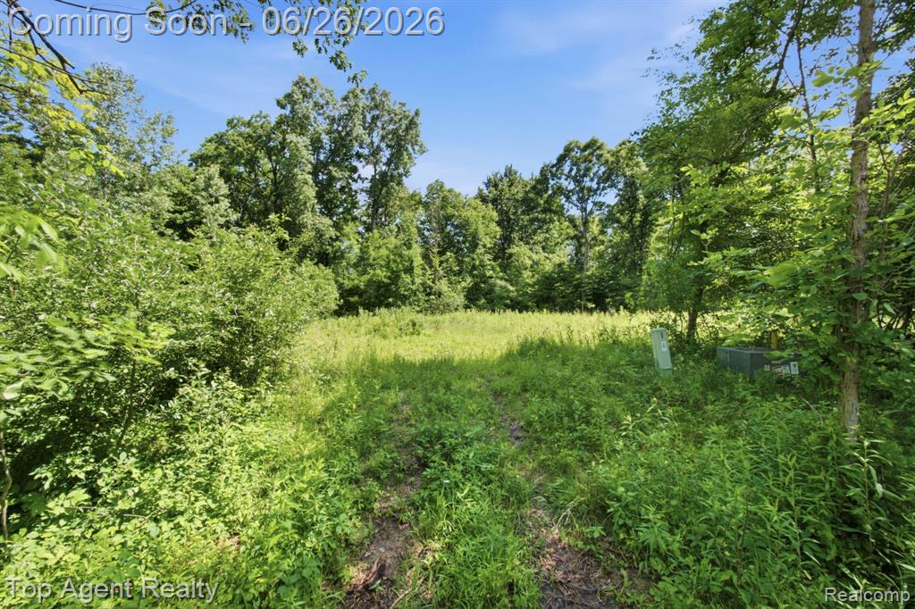 657 DONNA MAE, Leonard, MI 48367 — Photo 12