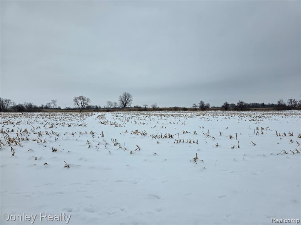 9999 Montgomery, Sanilac, MI 48453 — Photo 10