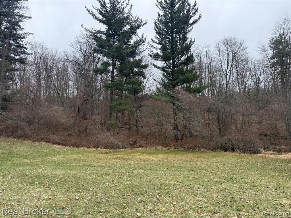 1802 N Elba Road, Lapeer, MI 48446 — Photo 35