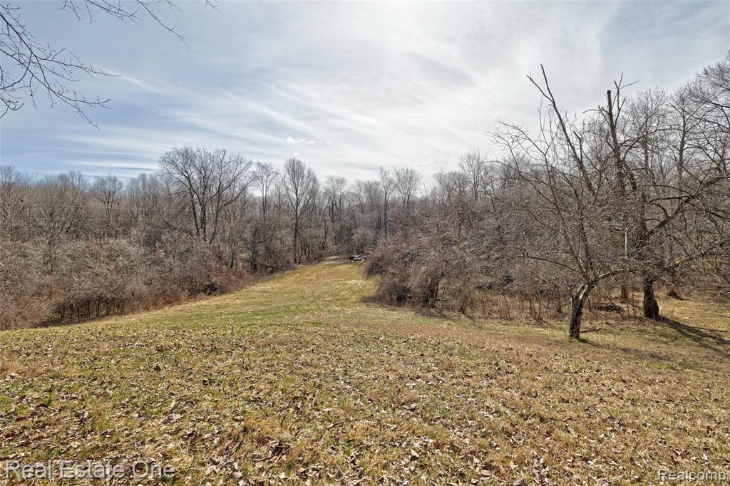 5307 Metamora Road, Metamora, MI 48455 — Photo 81