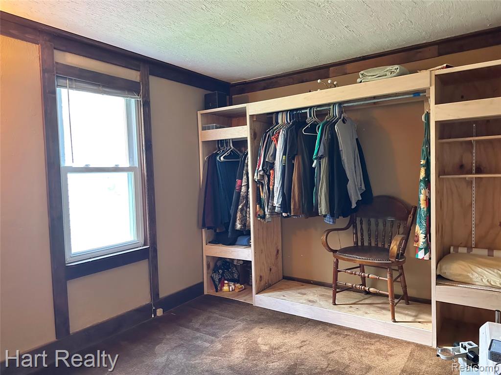 6520 Carpenter Street, Marlette, MI 48453 — Photo 5
