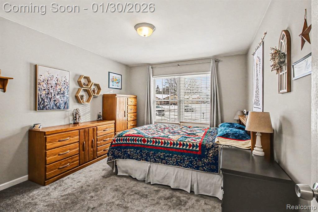 858 Alpine Drive, Brighton, MI 48116 — Photo 14