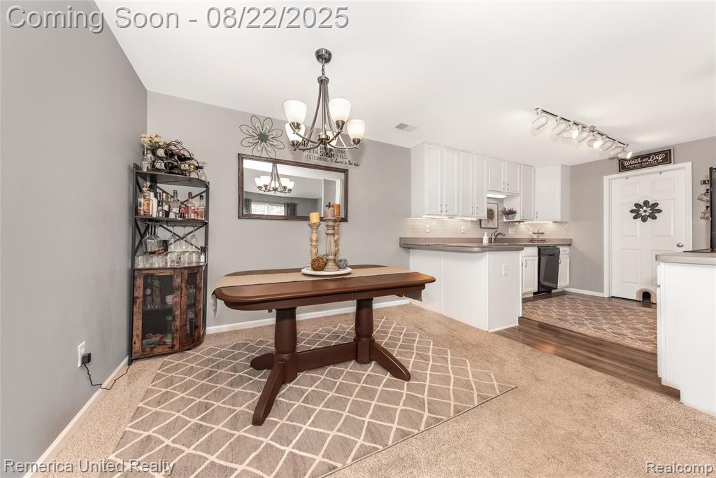 1146 Rial Lake Drive, Howell, MI 48843 — Photo 21